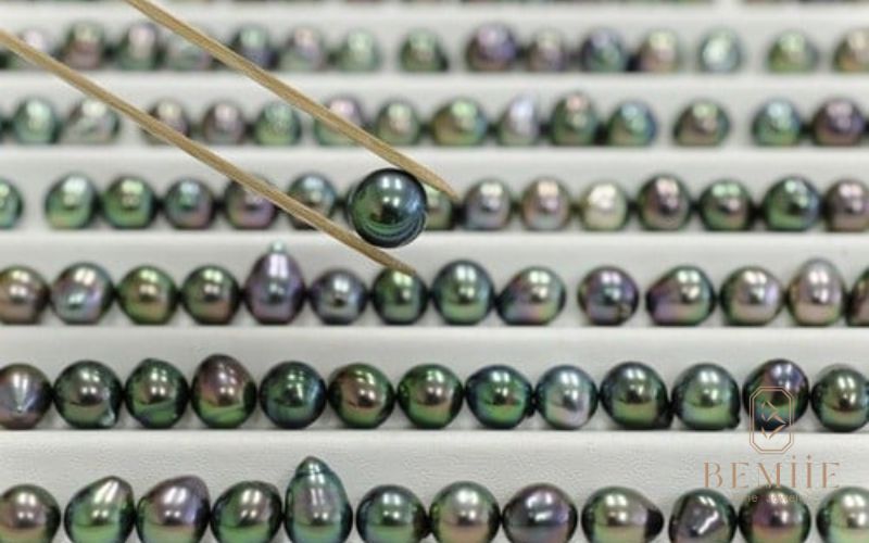 Ngọc trai Tahiti quyến rũ với sắc đen huyền bí cùng ánh xanh, tím độc đáo – biểu tượng của sự sang trọng và đẳng cấp.