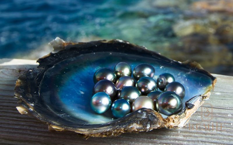 Ngọc trai tự nhiên – tinh hoa của đại dương, quý hiếm và nguyên bản, mang đến vẻ đẹp không thể sao chép theo thời gian.
